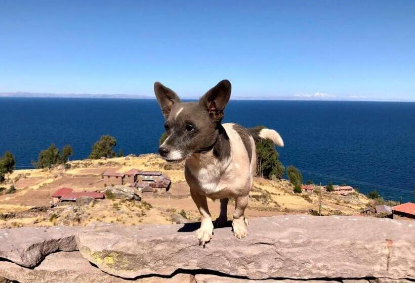 Номер Стандарт, Taquile Lodge   Un Lugar De Ensueño