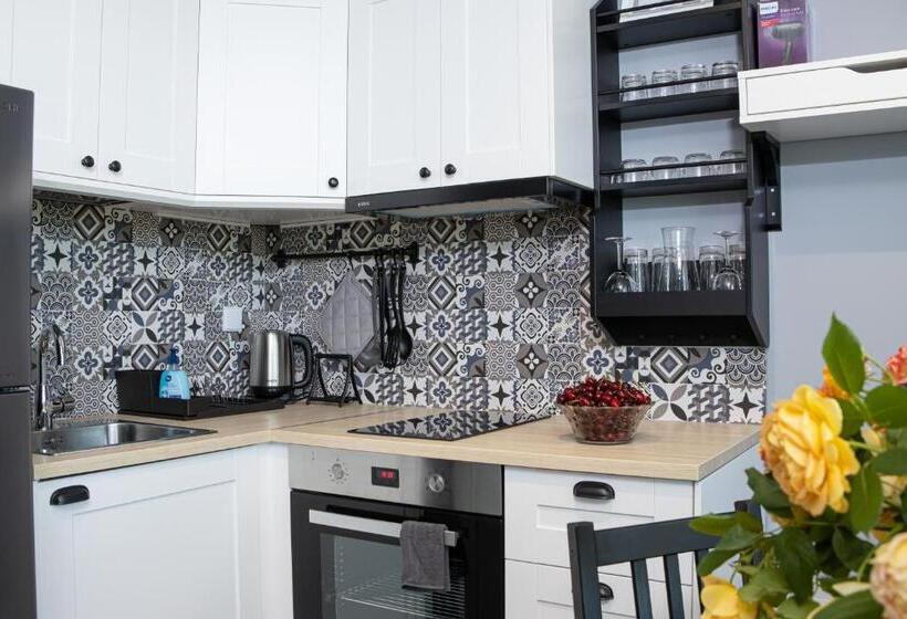 １ベッドルームアパートメント, Luxury Apartment Vodolei