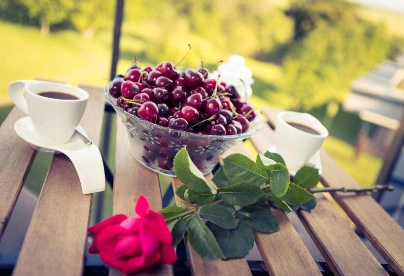 ドゥプレックスルーム, Luxury Apartment Vodolei