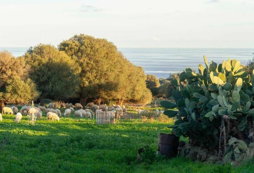 منزل غرفة نوم واحدة, Tenute Efis