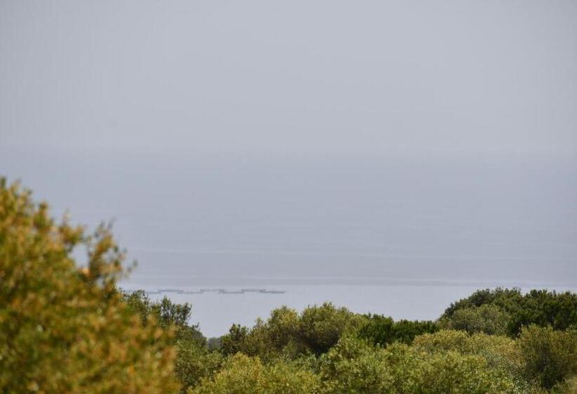 منزل غرفة نوم واحدة, Tenute Efis