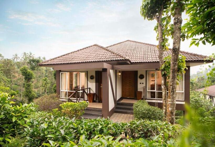 小室, Jeevess Wellness Resort