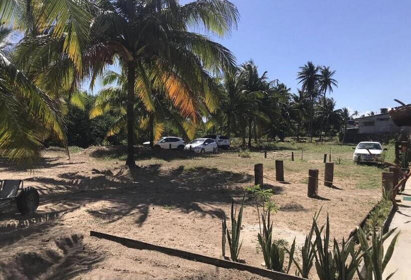 إستوديو ديلوكس, B&b Beach House Pousada Exclusiva Pés Na água Pontal Do Peba única Em Alagoas