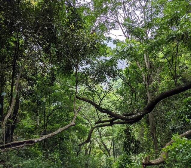 וילת חדר שינה 1, נוף לגינה, Villa Lé Maas Tota