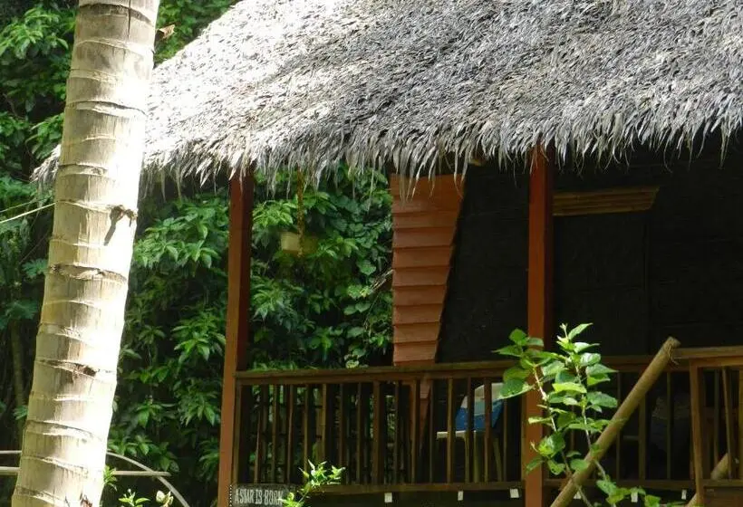 Habitación Deluxe, Nuts Huts