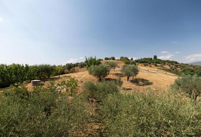 带1个卧室的别墅, Tenuta Colle Sala   Country House & Suites