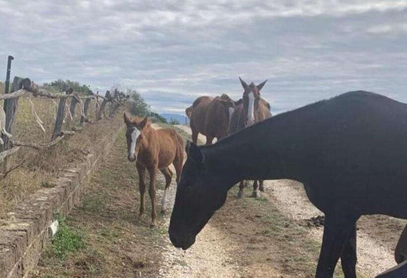 シャレー1寝室, Tenuta Colle Sala   Country House & Suites