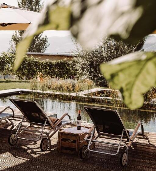 غرفة قياسية, Weingut Kollerhof Am Eichberg