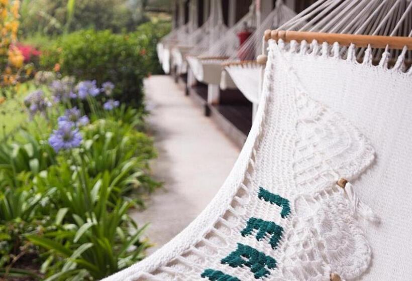 스탠다드 룸 킹사이즈 침대, Finca Lerida Coffee Plantation And Boutique