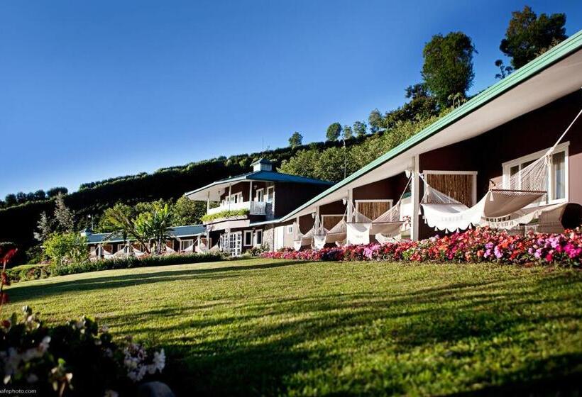 스탠다드 룸 킹사이즈 침대, Finca Lerida Coffee Plantation And Boutique