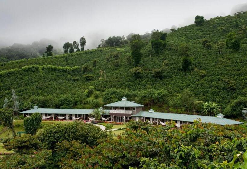 스탠다드 룸 킹사이즈 침대, Finca Lerida Coffee Plantation And Boutique