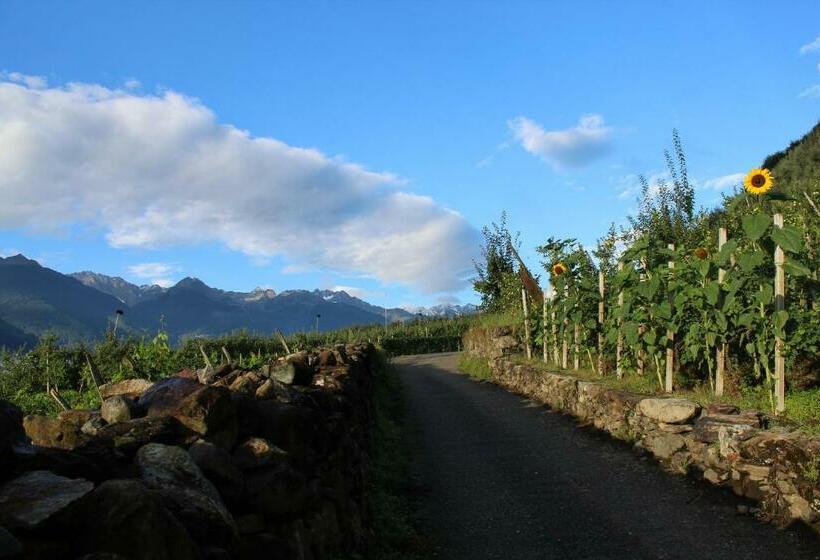 غرفة قياسية, La Vita In Campagna