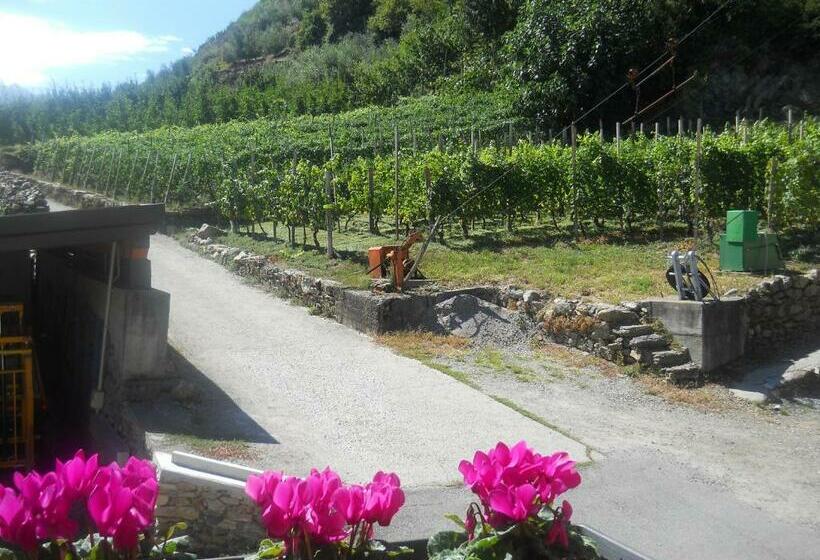 غرفة قياسية, La Vita In Campagna