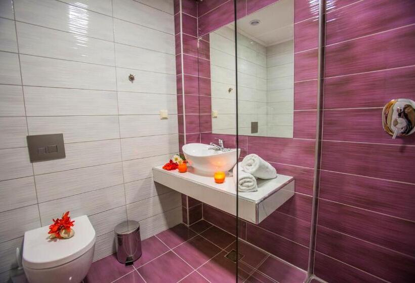 آپارتمان 1 خوابه, Kozanos Hotel & Suites