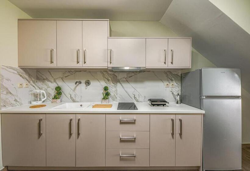 اتاق دوبلکس, Kozanos Hotel & Suites