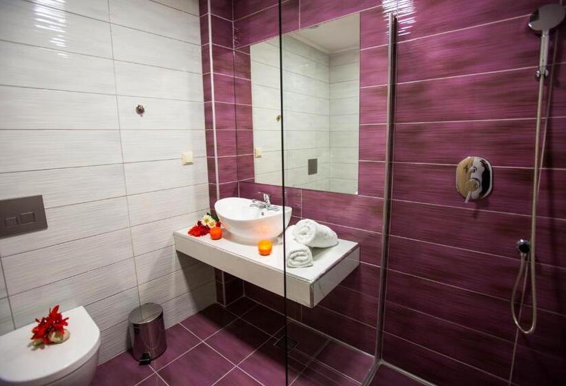 استودیوی استاندارد, Kozanos Hotel & Suites