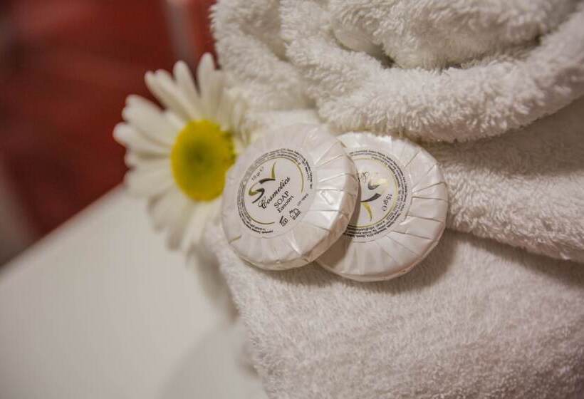 استودیوی استاندارد, Kozanos Hotel & Suites