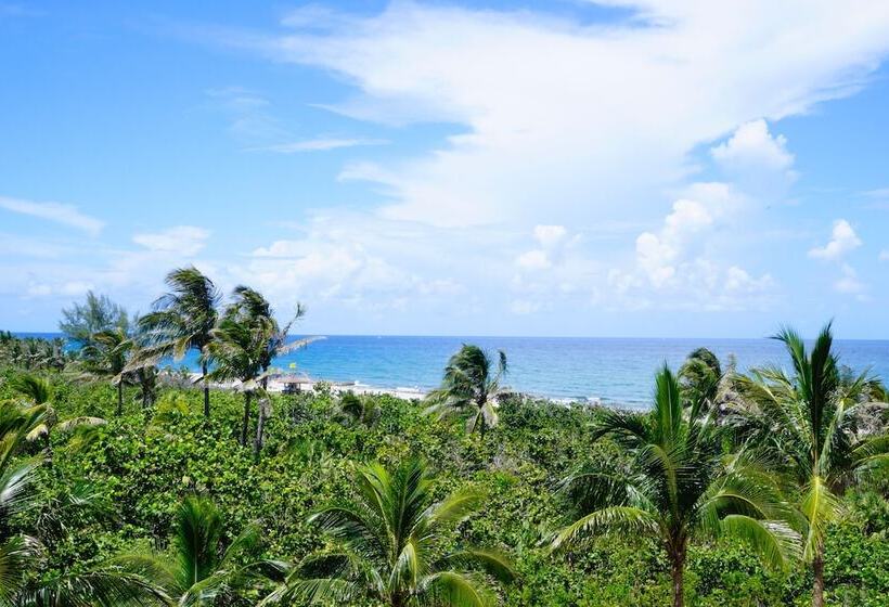 شقة غرفتين مطلة على البحر, Palm Beach Singer Island Resort & Spa Luxury Suites