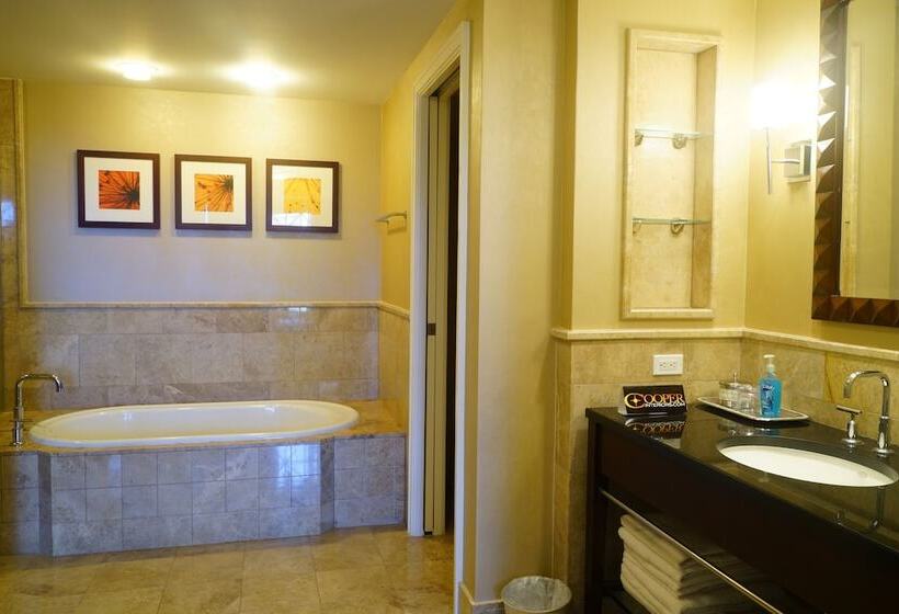 جناح ديلوكس غرفتين نوم, Palm Beach Singer Island Resort & Spa Luxury Suites