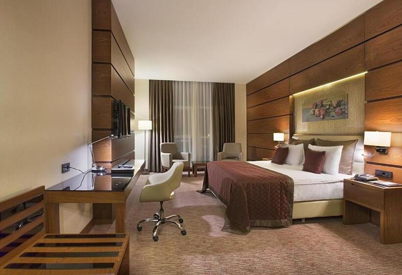 اتاق لوکس یک تخته, Dedeman Erbil Hotel City Center