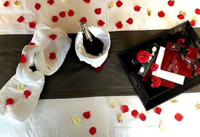 اتاق سوپریور, K Loys