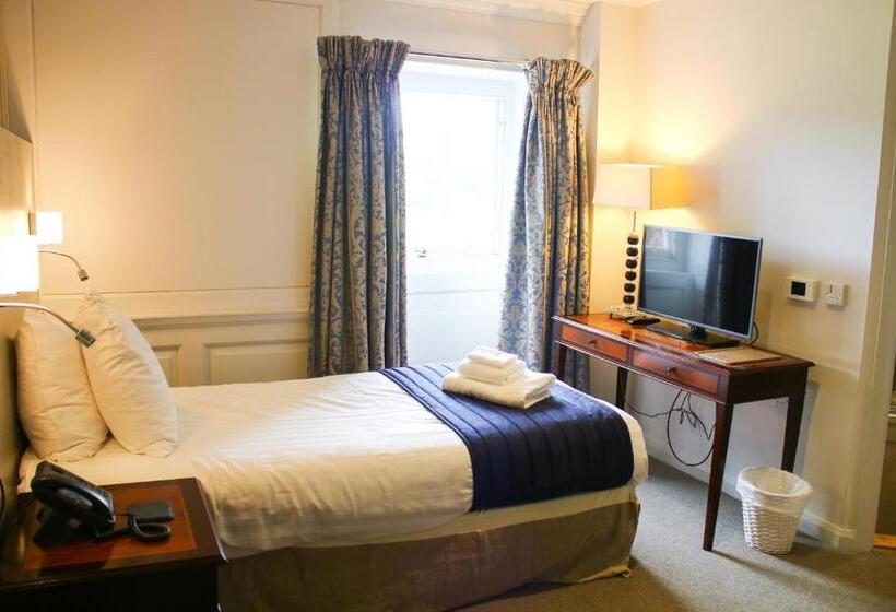 Standard Yhden Hengen Huone, Plas Nanteos Mansion