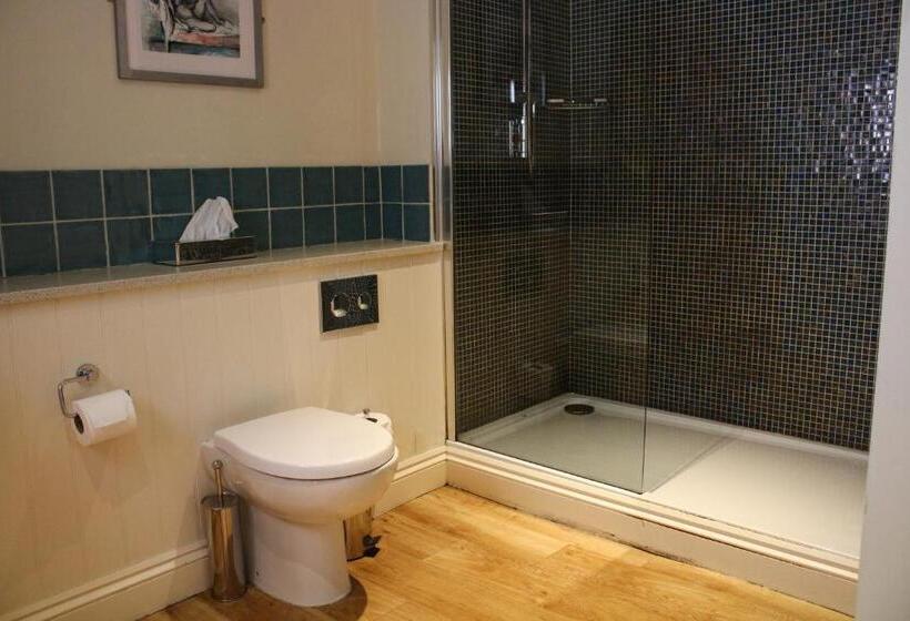 Deluxe-huone, Plas Nanteos Mansion