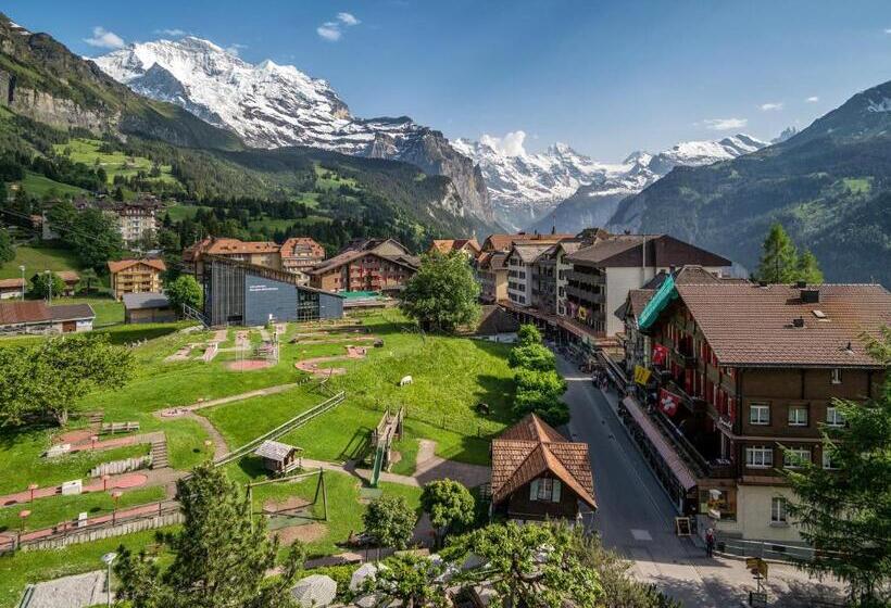 带山景的高级间, Schonegg