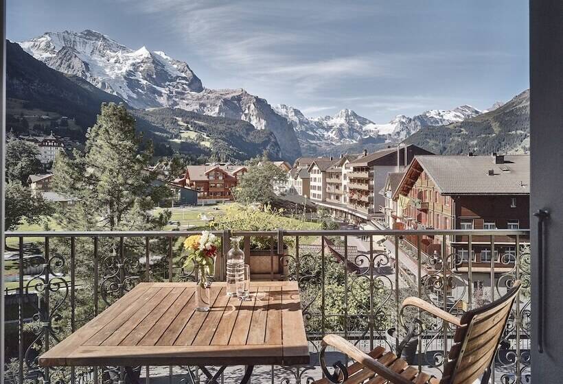 带山景的高级间, Schonegg