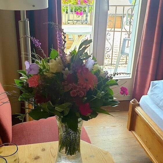 高级单人间, Schonegg