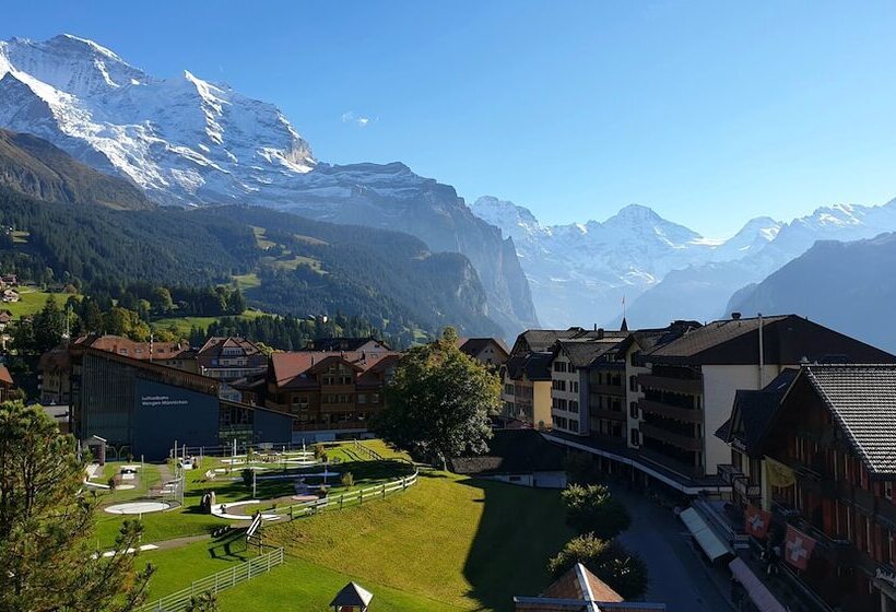 Номер Deluxe, Schonegg