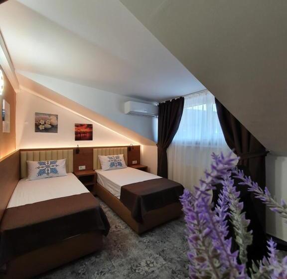 غرفة قياسية, Stay Inn Rediu