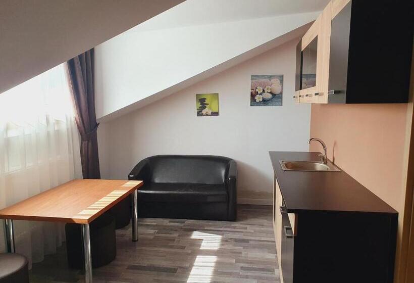 شقة سوبريور غرفة واحدة, Stay Inn Rediu