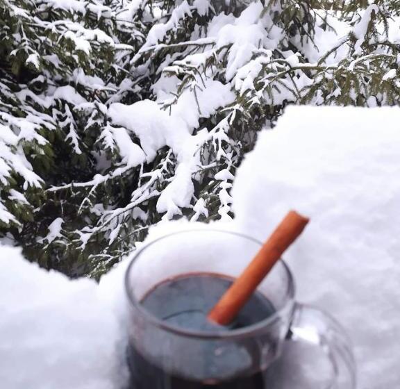 ویلای سوپریور 1 خوابه, Pensiunea Antonio Bran