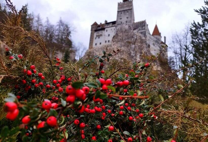 ویلای سوپریور 1 خوابه, Pensiunea Antonio Bran