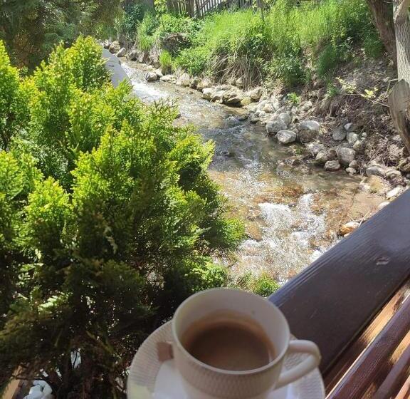 ویلای سوپریور 1 خوابه, Pensiunea Antonio Bran