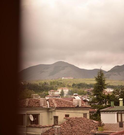 Standard Room with Balcony, Vila Visi