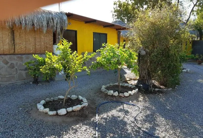 اتاق استاندارد با 2 تخت دوبل, Loreto La Regional