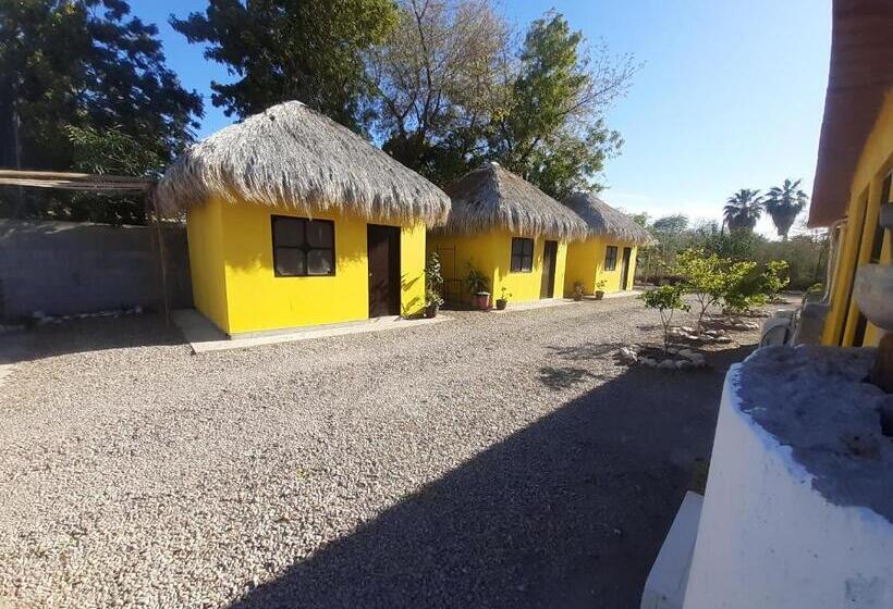 חדר סטנדרט לשלושה, Loreto La Regional