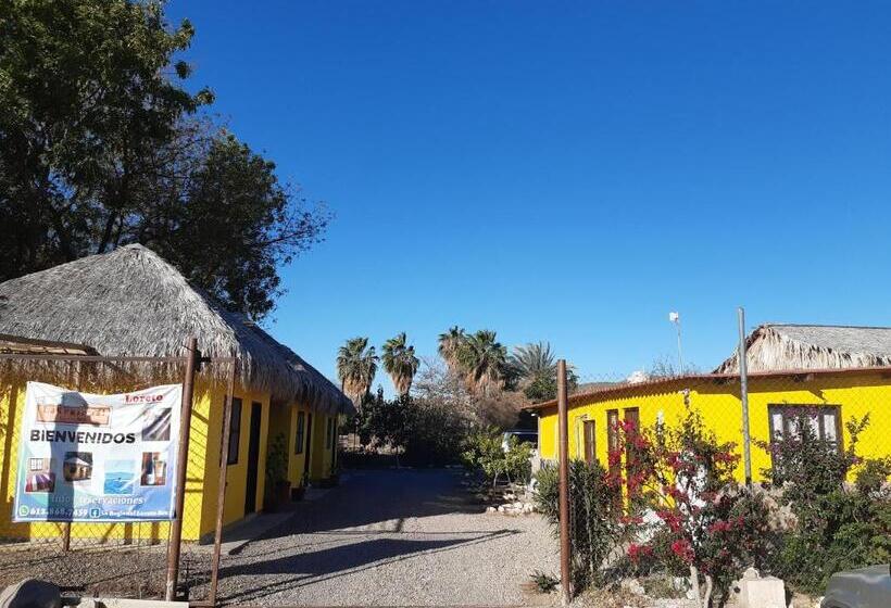 חדר סטנדרט לשלושה, Loreto La Regional