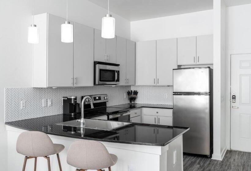 شقة غرفة واحدة, Locale South Congress  Austin