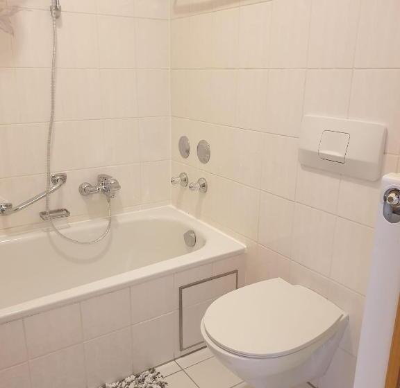 带1个卧室的带阳台的公寓, Gungl Stubn