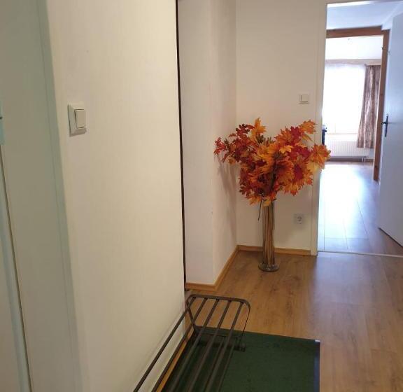 低层单卧公寓, Gungl Stubn