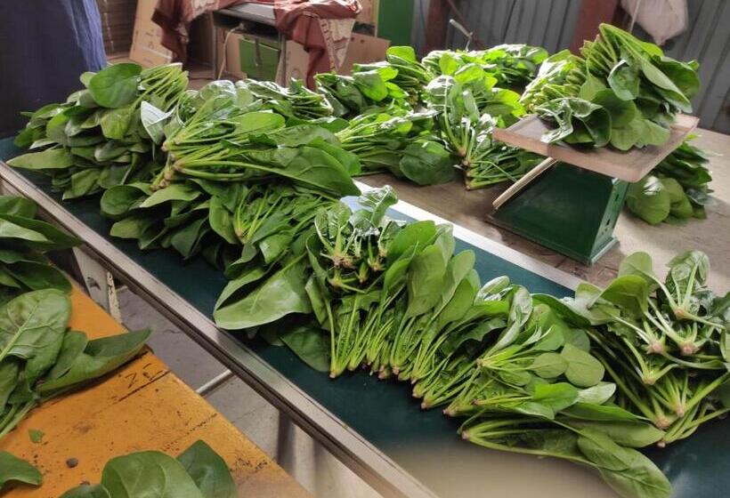 1间卧室的房子, First Floor Tatami Room Local House Stay  Vacation Stay 75395v