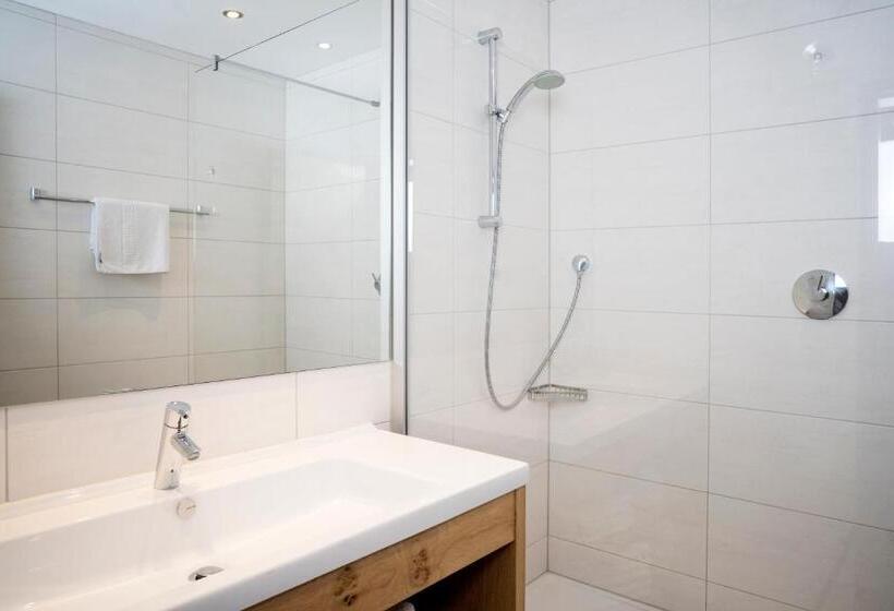 آپارتمان دوبلکس 1 خوابه, Aparthotel Schindlhaus Und Koia Premium Apartments