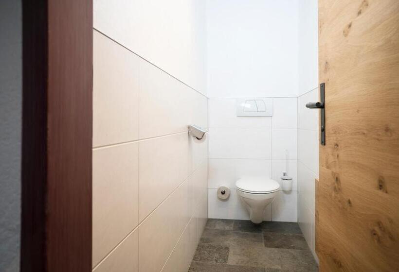 آپارتمان دوبلکس 1 خوابه, Aparthotel Schindlhaus Und Koia Premium Apartments