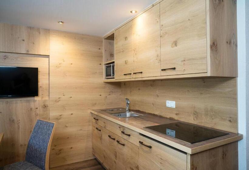 آپارتمان دوبلکس 1 خوابه, Aparthotel Schindlhaus Und Koia Premium Apartments