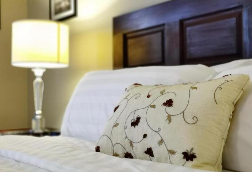 스탠다드 룸 킹사이즈 침대, No 1 Grafton Inn