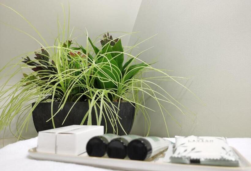 디럭스 스위트, No 1 Grafton Inn