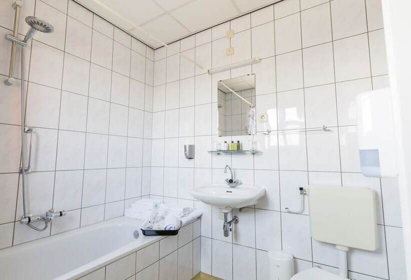 غرفة ديلوكس, De Buizerd